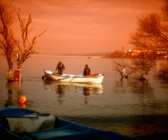 Gölyazı