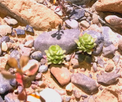 Spring unbound....