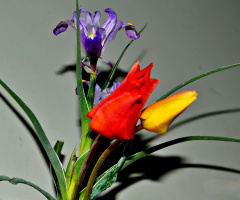 Bouquet