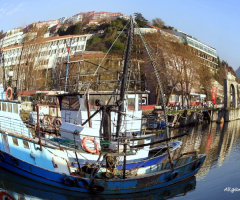 balık gözü