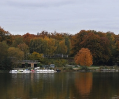 Colorful autumn