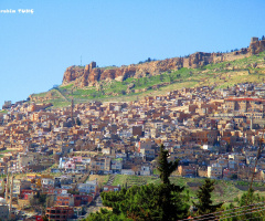 Mardin