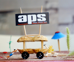 Miniciks Hayatlar  APS  
