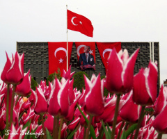 az ve öz