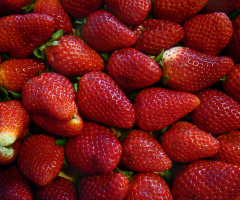 ERDBEEREN