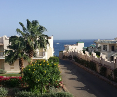 Egypt - Sharm Alsheikh