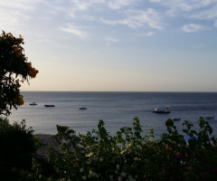Egypt - Sharm Alsheikh
