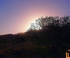 Dusk colours