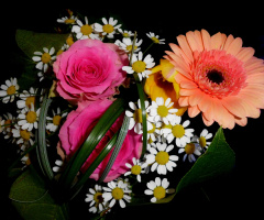 BLUMENSTRAUSS