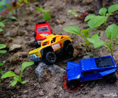 Miniciks Hayatlar  OFFROAD  