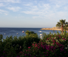 Egypt - Sharm Alsheikh