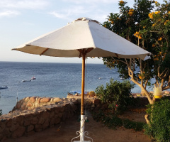 Egypt - Sharm Alsheikh