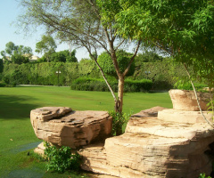 Egypt  - Alain Alsokhna