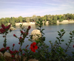 Egypt - Aswan 