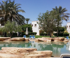 Egypt  - Alain Alsokhna