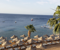 Egypt - Sharm Alsheikh