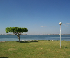 Egypt  - Ismaillia 