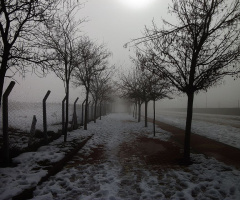 soğuk