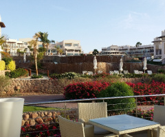 Egypt - Sharm Alsheikh
