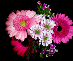 BLUMEN
