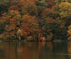 For The Love Of Autumn Colors