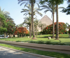 Egypt  - Cairo - Near pyramids