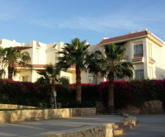 Egypt - Sharm Alsheikh