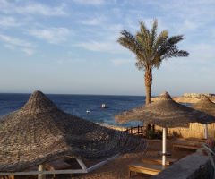 Egypt - Sharm Alsheikh