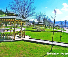 Kezer Mesire Alanı / SİİRT