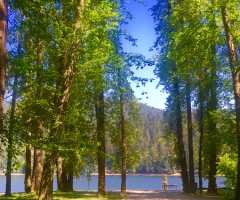 Doğa