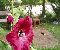 Umuda kanat çırpmak