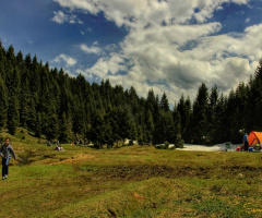Doğal Yaşam