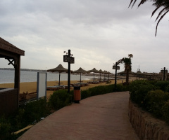 Egypt  - Alzaafarana