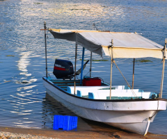Resting at the shore