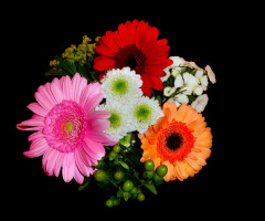 BLÜTEN