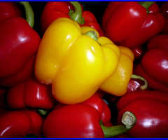 PAPRIKA