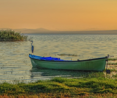 Kuş Cennetinden