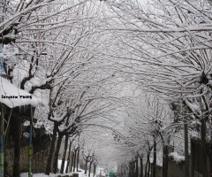 Romantik Kış