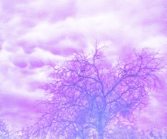 The InfraRed Storm