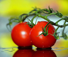 Fresh from the garden