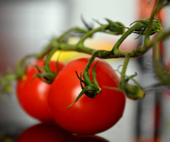 Fresh and Tasty
