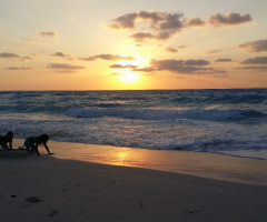 Egypt - North coast - sunset 