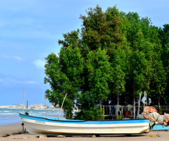 Resting at the shore 2