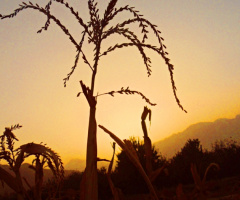Dusk......