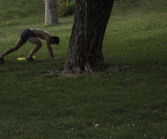 Spor