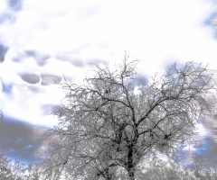 InfraRed Crossing