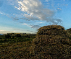 #straw #cloud 