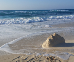 Egypt - North Coast                              