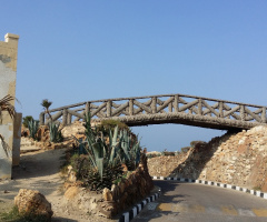 Egypt  - Alexandria 