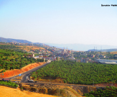 Siirt